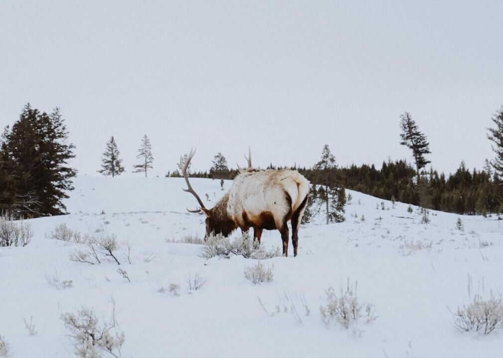 #2. Wyoming